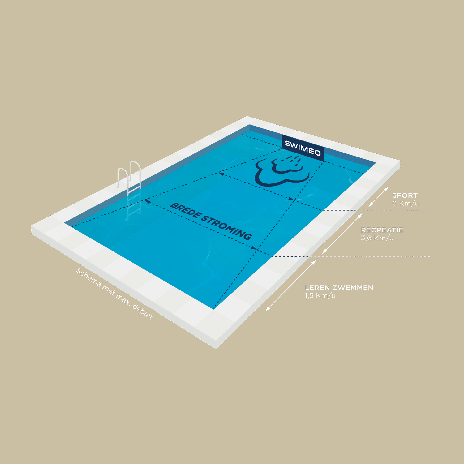 Swimeo zwembad posities diagram